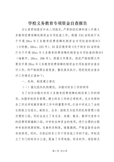 学校义务教育专项资金自查报告.docx