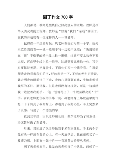 园丁作文700字0.docx