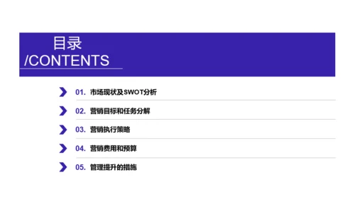 izse科技智季度市场营销计划商业计划书PPT模板