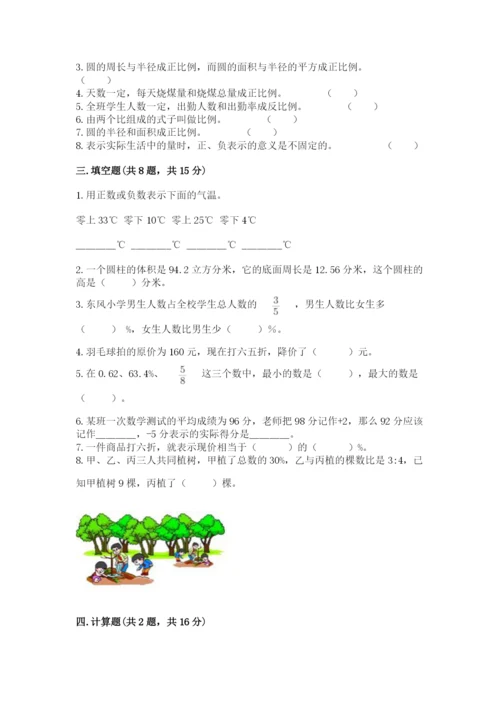 人教版六年级下册数学期末测试卷（全国通用）word版.docx