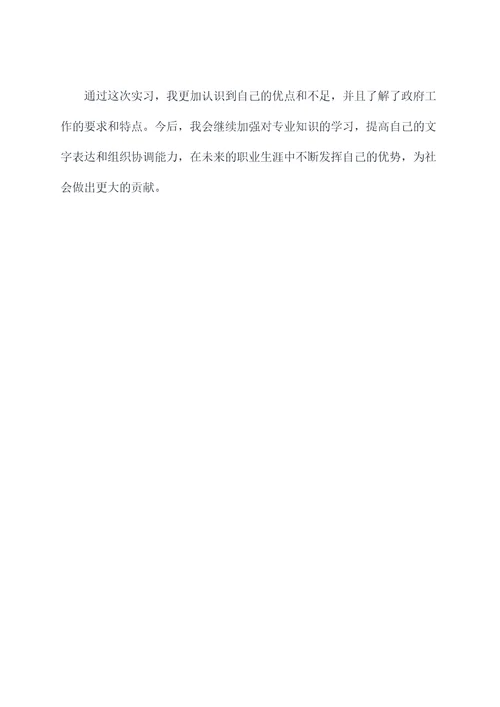 政府暑期实习报告