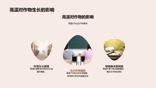 小暑与农业影响