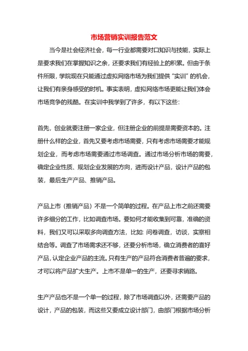 市场营销实训报告范文.docx