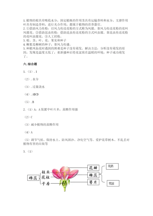 科学四年级下册第一单元植物的生长变化测试卷（考试直接用）.docx