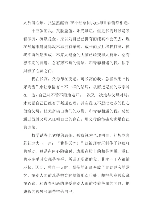 与什么悄然相逢作文.docx
