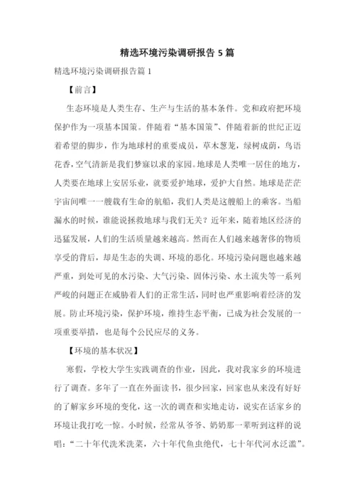 精选环境污染调研报告5篇.docx