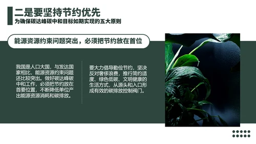 低碳经济碳达峰碳中和新理念PPT党课