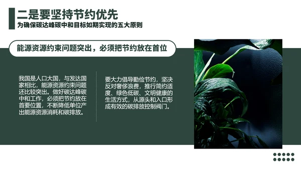 低碳经济碳达峰碳中和新理念PPT党课