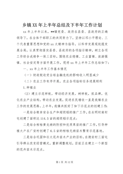 乡镇某年上半年总结及下半年工作计划.docx