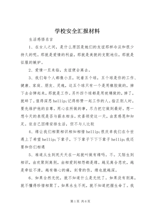 学校安全汇报材料精编.docx