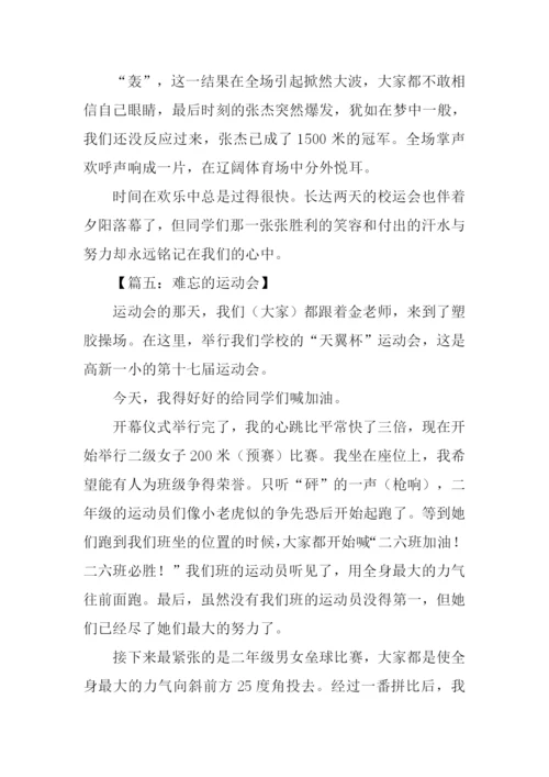 难忘的运动会作文800字.docx