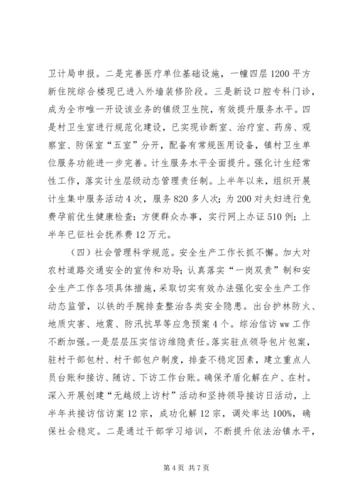 乡镇某年上半年工作总结和下半年工作计划.docx