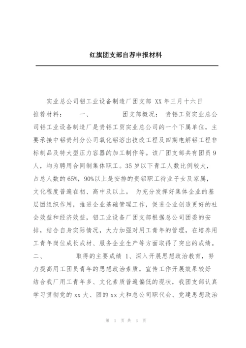 红旗团支部自荐申报材料.docx