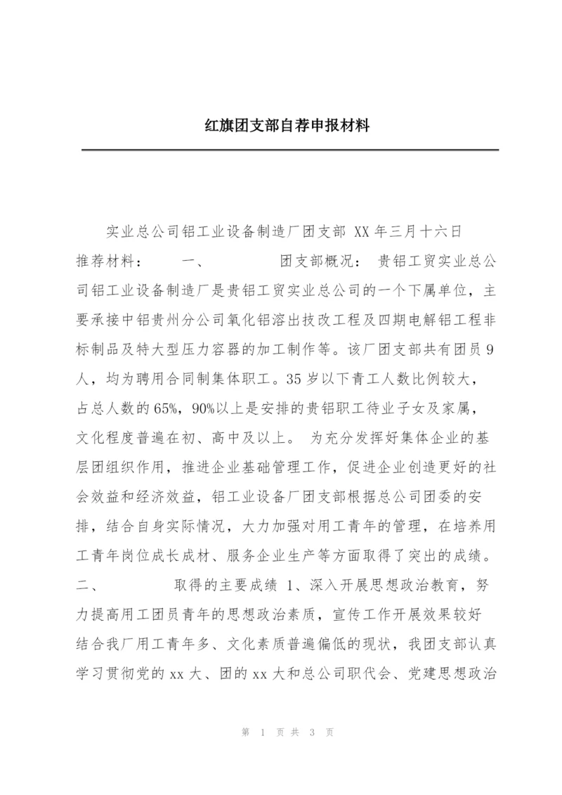 红旗团支部自荐申报材料.docx