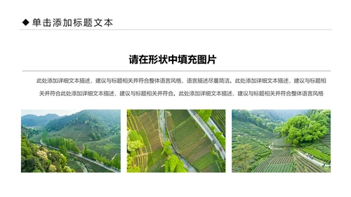 清新乡村旅游新农村建设乡村建设乡村旅游PPT模板