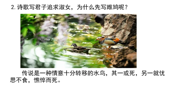 12《诗经》二首 关雎 课件