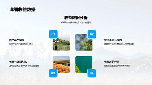 农业收益全面分析