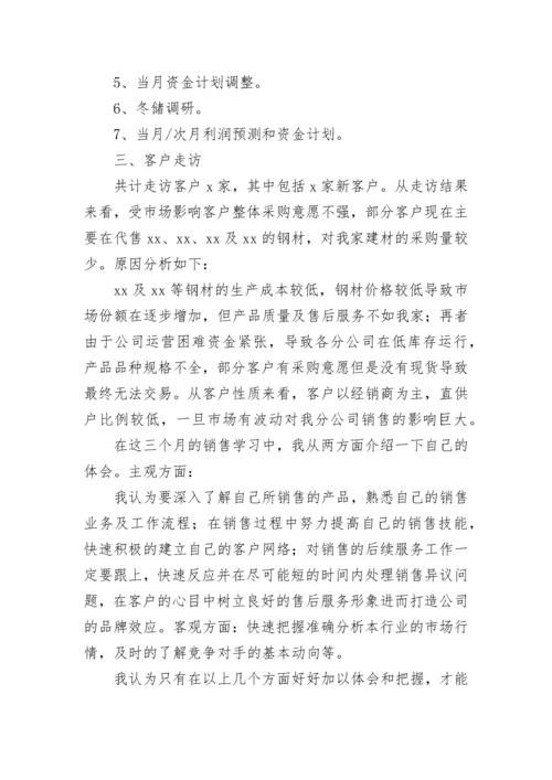 销售试用期工作总结.docx