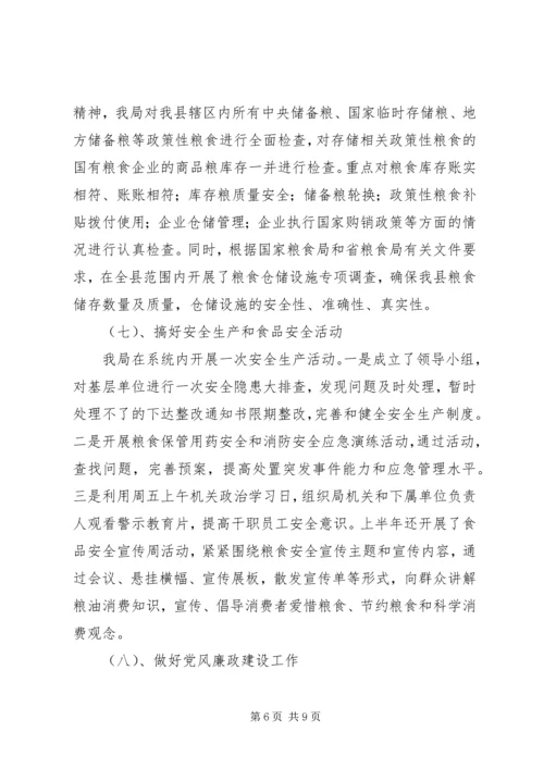 粮食局工作总结及工作计划精编.docx