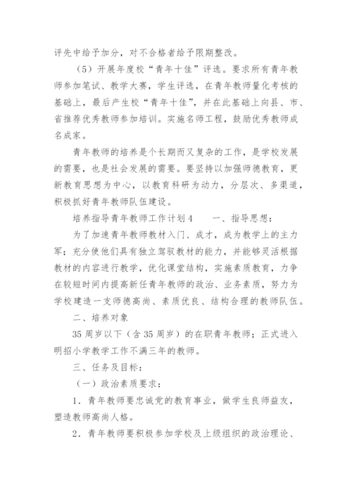 培养、指导青年教师工作计划.docx