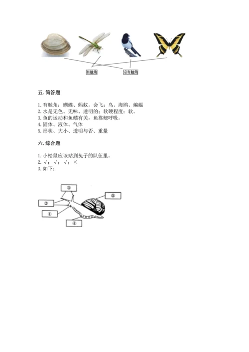 教科版一年级下册科学期末测试卷精品附答案.docx