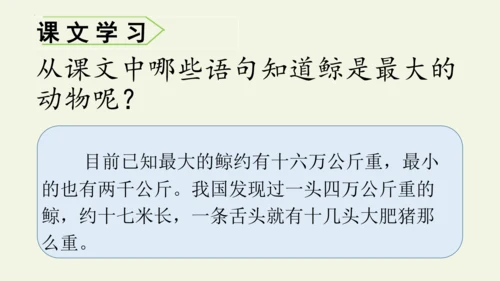 部编版 五年级语文上册第五单元习作例文 《鲸》（课件）