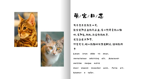 简约宠物萌宠画册电子相册通用PPT模板