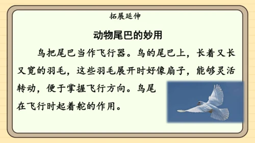 20 小壁虎借尾巴（课件）