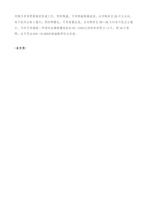 冬季肉鸭快速高效育肥.docx