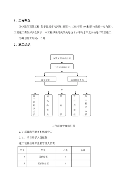 水平定向钻综合施工组织专题方案.docx