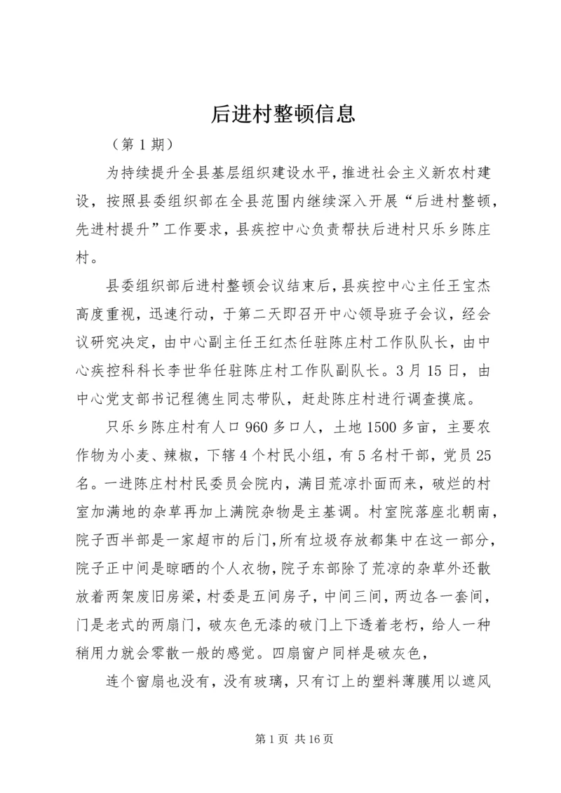 后进村整顿信息.docx