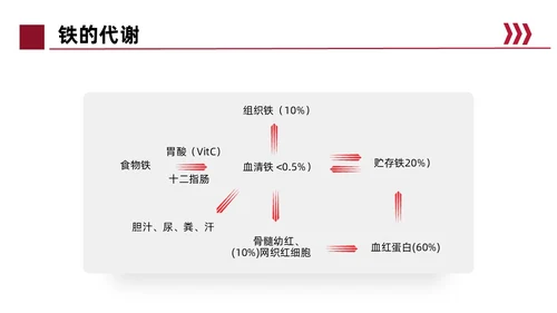红色简约风缺铁性贫血常规知识培训PPT模板护理