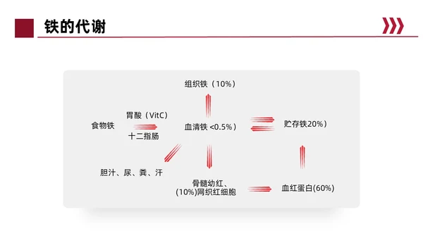 红色简约风缺铁性贫血常规知识培训PPT模板护理