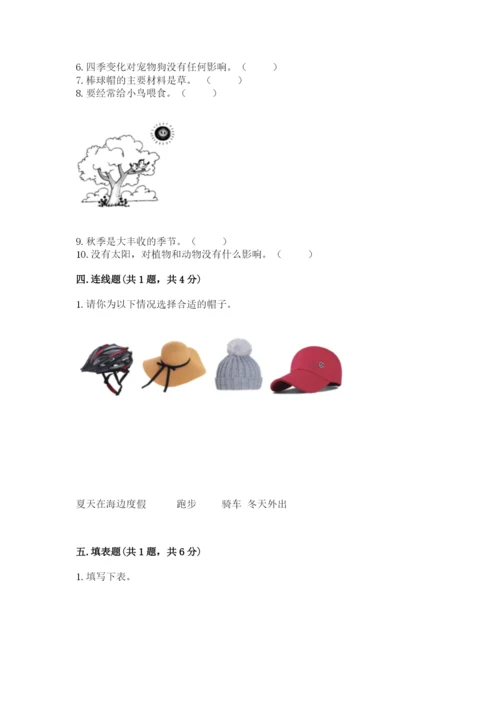 教科版科学二年级上册期末测试卷【名校卷】.docx