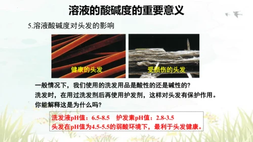 10.2酸和碱的中和反应 课件(共40张PPT)----九年级化学人教版下册
