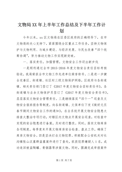 文物局XX年上半年工作总结及下半年工作计划.docx