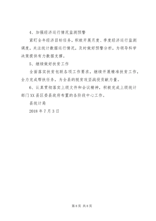 统计局XX年上半年工作总结及下半年工作安排 (2).docx