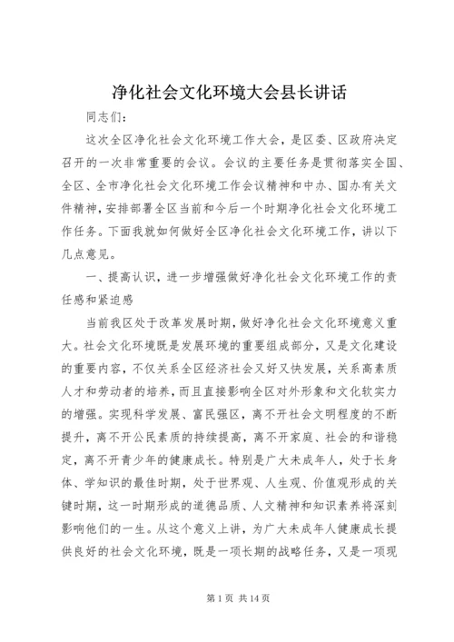 净化社会文化环境大会县长讲话.docx