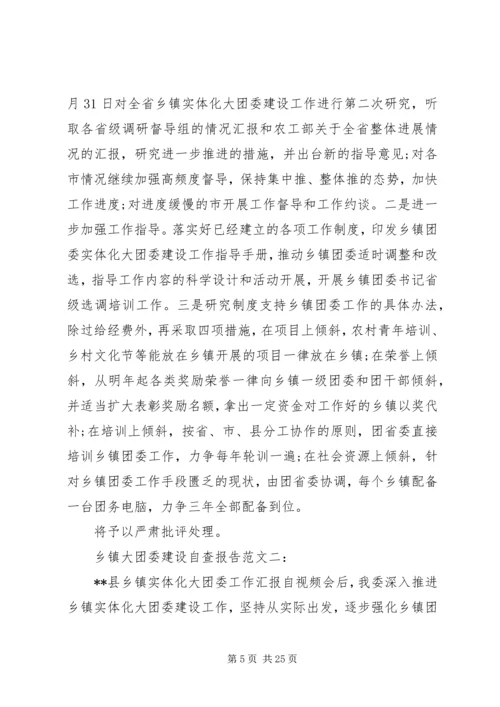 乡镇大团委建设自查报告范文一：.docx