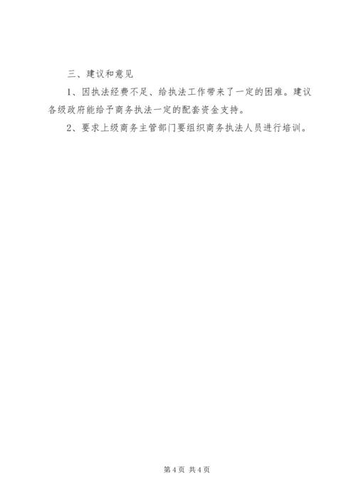 商务大队监管服务报告.docx