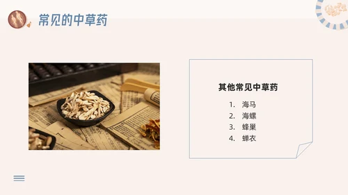 蓝色简约神奇中药草PPT模板宣传PPT动态PPT中医药