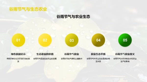 节气生态与环保观念