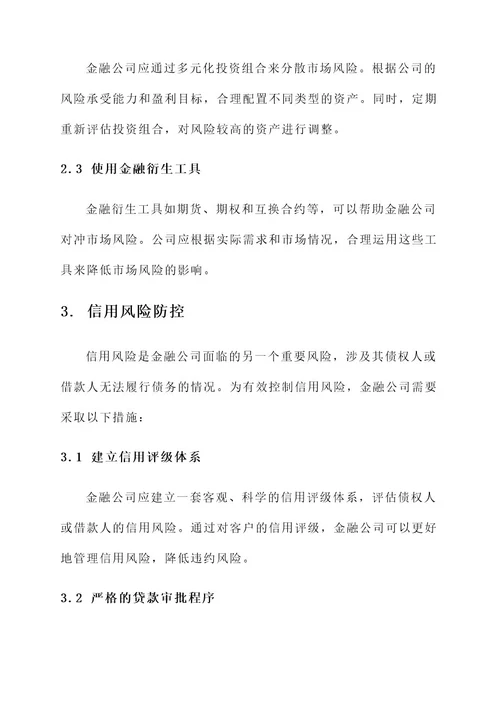 金融公司风险防控方案