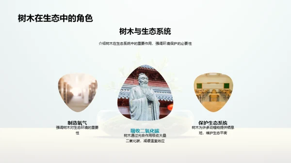 环保行动：家庭的实践