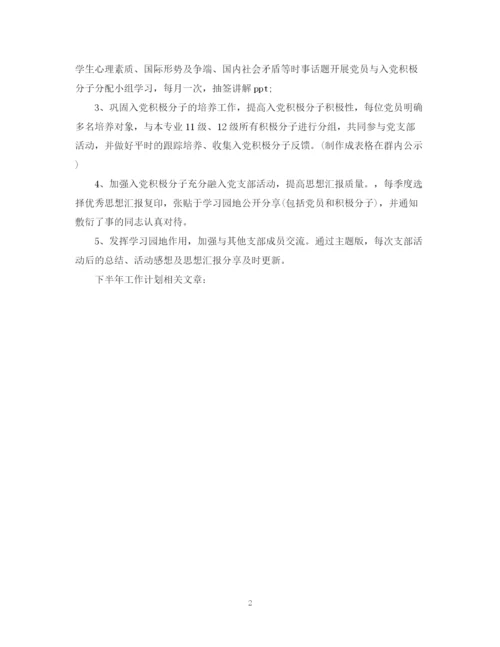 精编之乡村党委书记下半年工作计划优秀范文.docx