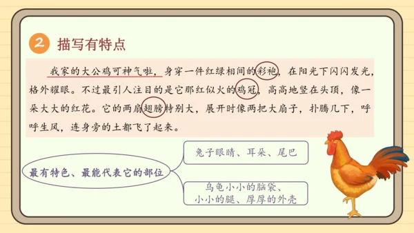 统编版语文四年级下册2024-2025学年度第四单元习作：我的动物朋友（课件）