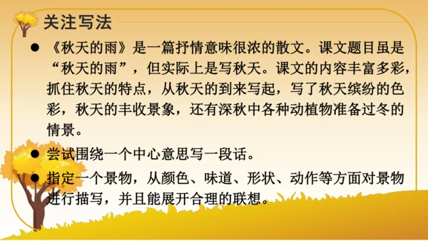 6 秋天的雨   课件