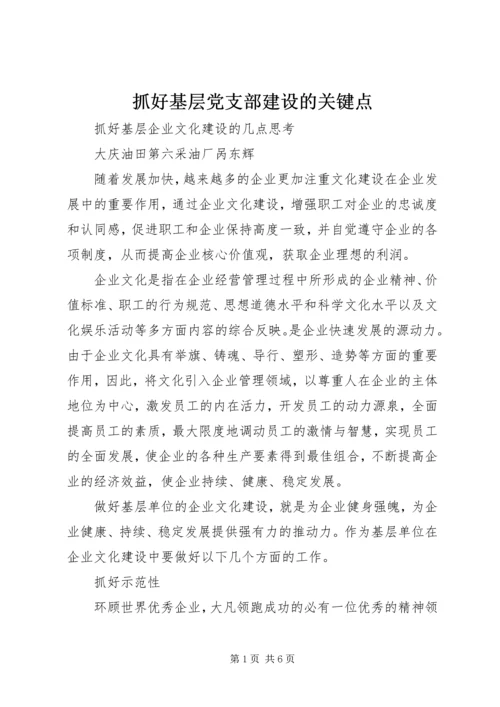 抓好基层党支部建设的关键点 (3).docx