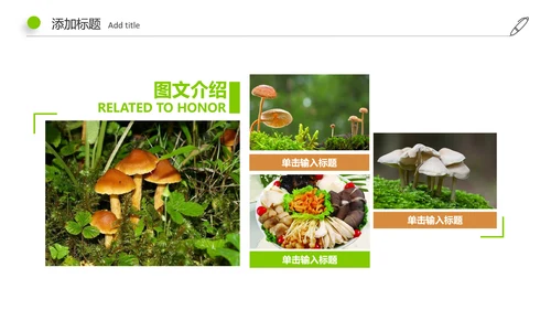 高清野生菌类动态PPT模板