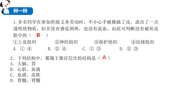 2.2.2 动物体的结构层次-2023-2024学年七年级生物上学期备课课件（人教版）(共26张PP